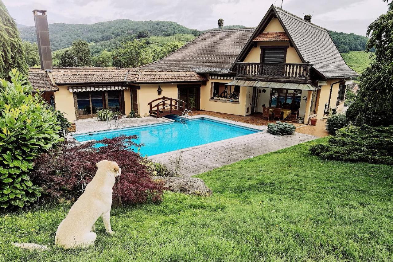 Апартаменти Chez Aude Andlau-au-Val Екстер'єр фото