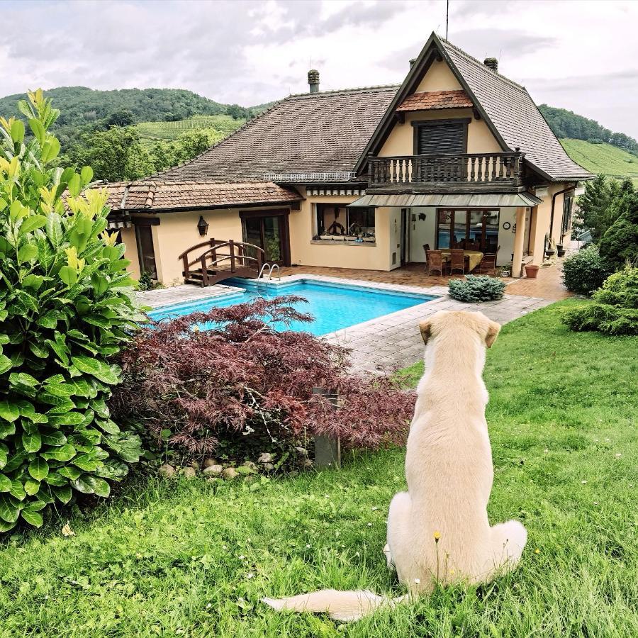 Апартаменти Chez Aude Andlau-au-Val Екстер'єр фото